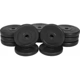 GYRONETICS® Hantelscheiben Set 30kg Gewichte Gewichtsscheiben Hantelset Hanteln