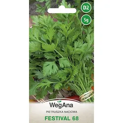 Stängelpetersilie Festival 68 5g Petersiliensamen - WegAna