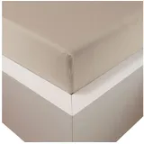 Traumschloss Spannbettlaken Premium Plus Jersey 180 x 200 - 200 x 220 cm beige