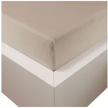 Traumschloss Spannbettlaken Premium Plus Jersey 180 x 200 - 200 x 220 cm beige