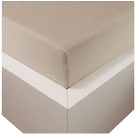 Traumschloss Spannbettlaken Premium Plus Jersey 180 x 200 - 200 x 220 cm beige