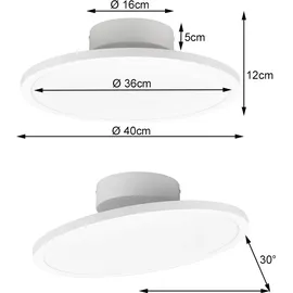 Trio Lighting Tray 1 schwenkbar/drehbar/dimmbar Ø 40 cm weiß
