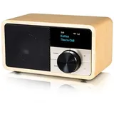 Kathrein DAB+ 1 mini Holz hell