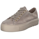 Sneaker in Bronze / 4.5 UK