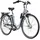 2021 28 Zoll RH 48 cm Damen grau