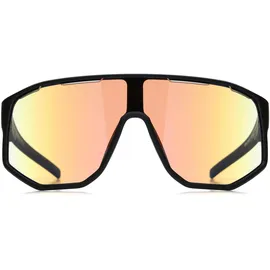 Red Bull Spect EYEWEAR Dash_PRO-01X/Sonnenbrille - black/blue - STK