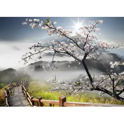 Fototapete PAPERMOON "ORCHIDEEN-TAPETE NATUR LANDSCHAFT GEBIRGE BERGE BLUMEN", bunt, B:4,00m L:2,60m, Vlies, Tapeten