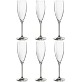 LEONARDO Sektglas Poesia Set, spülmaschinengeeignetes Champagnerglas, Höhe 25 cm, 250 ml, grau,