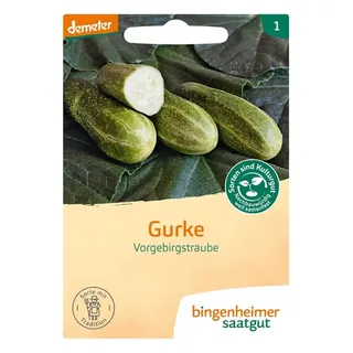 Gurke - Vorgebirgstrauben