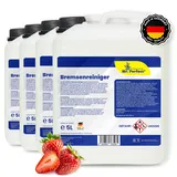 Mr. Perfect® - Bremsenreiniger 4x5 l | Bremsenpflege im praktischen 5 l Tank | Schnelle und effektive Reinigung | Acetonfrei | Idealer Werkstattreiniger | Extrem kurze Verdunstungszeit