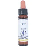 Bachblüten Pine Healing Herbs Tropfen 10 ml