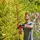 Black & Decker BEHTS551 60 cm ohne Akku