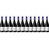 12x Blauer Portugieser und Dornfelder feinherb, 2022 - Weingut Ritter, Rheinhes...