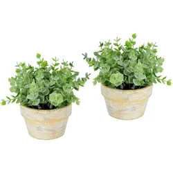 I.GE.A. Kunstpflanze »Künstlicher Eukalyptus im Topf 2er Set Pflanze«, Deko Blume für Hochzeit Plastikpflanze Kräuter Deko-Kräuter I.GE.A. grün
