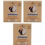 Schwarzkopf Schauma Festes Shampoo & Spülung 2in1 Repair & Pflege, 60 g (6er Pack)