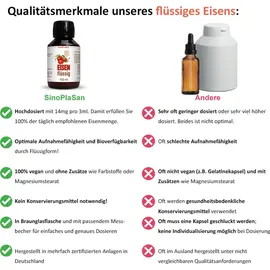 sinoplasan gmbh Eisen mit Dattelextrakt flüssig 100 ml