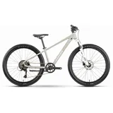 R Raymon Nayta Pro 26 Zoll RH 0 cm grau