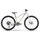 R Raymon Nayta Pro 2026 26 Zoll RH 0 cm Unisex grau