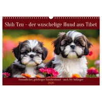Calvendo Shih Tzu - der wuschelige Hund aus Tibet