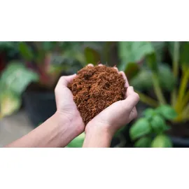 Biovita Kokosnussfaser für Pflanzen und Blumen 10 mm 5l