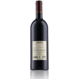 Cantina di Santadi Terre Brune 2020 0,75 l