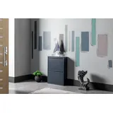gowoll Schuhschrank Schmal Schuhregal Metall Schuhkipper mit Magnet Klappen Schuhablage (Schuhschrank Metall 2 - 3 - 3+1 - 4 Klappen, Montiert und Wandmontage) 50 cm Breit