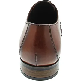 LLOYD 15-221-05 (9.5/castagno) - Braun