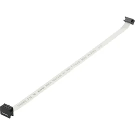 BKL Electronic 10120666 Flachbandkabel Rastermaß: 6 x 0.08mm2 Grau