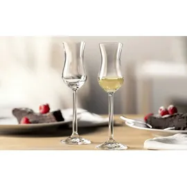 LEONARDO Daily Grappaglas 0,1 l 6 St.