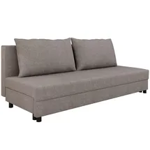 Homesy Schlafcouch mit Bettkasten 2-Sitzer Grau