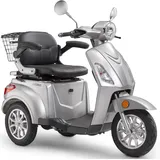LUXXON E3800 800 Watt 20 km/h silber