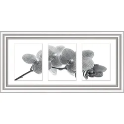 Bilderrahmen ELEGANCE silber - silber