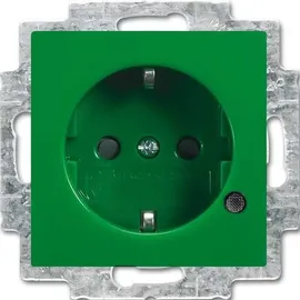 Busch-Jaeger Steckdoseneinsatz 20 EUCBL-13-914 Grün/Silber