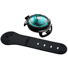 Orbiloc Dog Dual Light Türkis