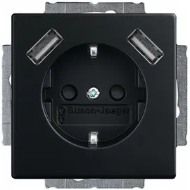 Busch-Jaeger USB-Steckdose Schwarz 2 St.