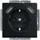 Busch-Jaeger USB-Steckdose Schwarz 2 St.