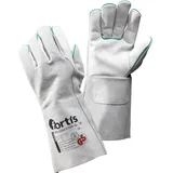 Fortis FORTIS