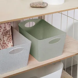 Koziol BOXXX M Aufbewahrungsbox 3,5 l 1-tlg. grün