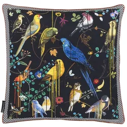 Birds Sinfonia Crepuscule