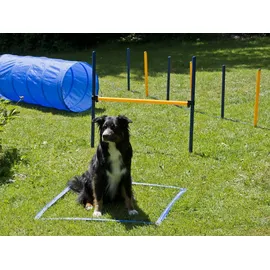 Procyon Hundetrainings-Set, Agility, Slalom, Hürde, Tunnel, Starter-Set,