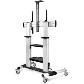 Startech TV Rollwagen 75,5 cm Grau/Schwarz Aluminium/Kunststoff/Stahl
