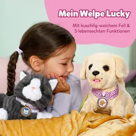 Zapf Creation Mein Hund Lucky mit Box 835869