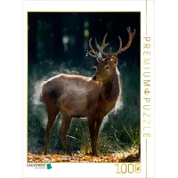 Calvendo Puzzle Der Junge Hirsch schüttelt die Herbstfeuchte aus