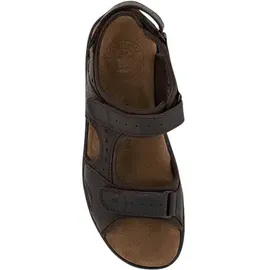 Panama Jack Salton Basics Herren Braun 45