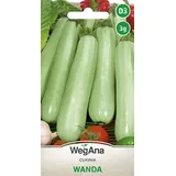 wegana Zucchini Wanda 3g Zucchinisamen - WegAna
