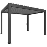Biohort Pergola 255 cm x 404,5 cm x 312 cm Dunkelgrau/Silber-Metallic