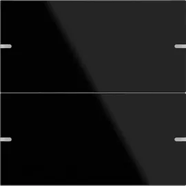 Gira Wippenset 2-fach 502205