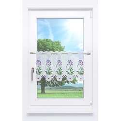 Scheibengardine Plauener Spitze - Krokus mit Schneeglöckchen " (Bx H) 256cm * 36cm" Violett/Lila