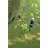 Silky Hayauchi 4-teilig 2,37-6,3m inkl. Blatt (179-39)