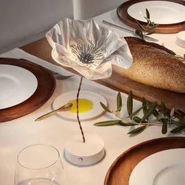 Slamp Lafleur Transparent